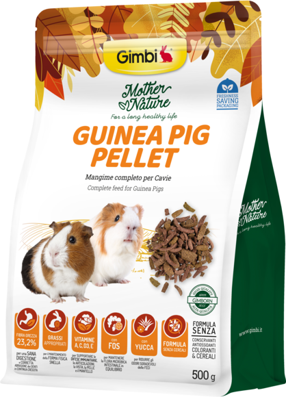 Alimenti > GIMBI MOTHER NATURE GUINEA PIG PELLET 500G | GIMBORN