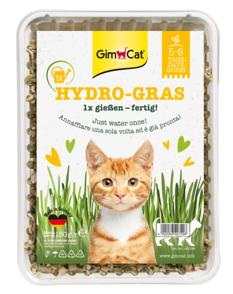 Erba > HYDRO-GRAS ERBA PER GATTI 150G | GIMBORN