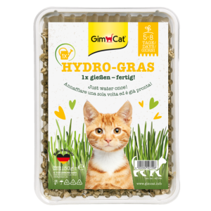 Erba > HYDRO-GRAS ERBA PER GATTI 150G | GIMBORN