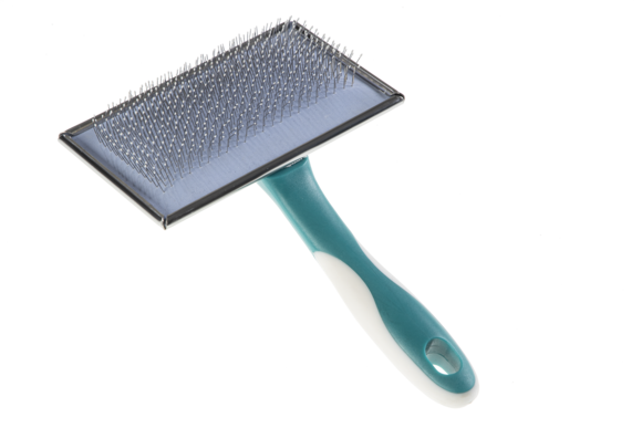 Igiene e cura > CARDATORE MORBIDO XL | GIMBORN