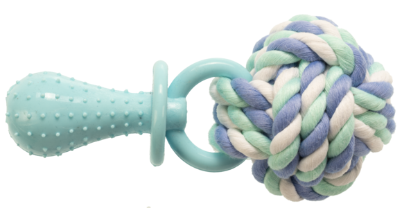 Giochi > COTTON DENT + PALLA CORDA 14CMØ6,6CM | GIMBORN
